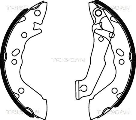 Triscan 8100 43560 - Комплект гальм, барабанний механізм avtolavka.club