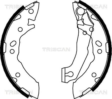 Triscan 8100 43621 - Комплект гальм, барабанний механізм avtolavka.club