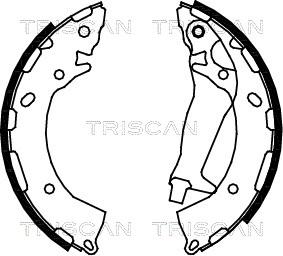 Triscan 8100 43014 - Комплект гальм, барабанний механізм avtolavka.club