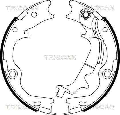 Triscan 8100 43029 - Комплект гальм, ручник, парковка avtolavka.club