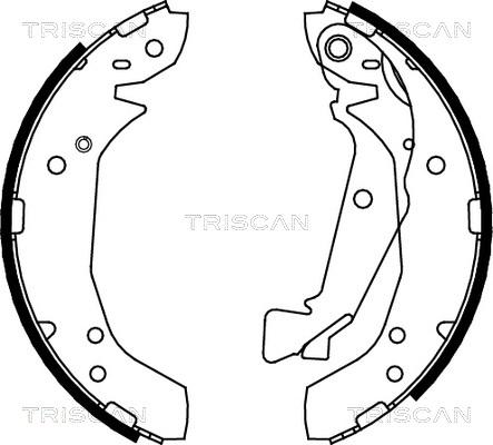 Triscan 8100 43025 - Комплект гальм, барабанний механізм avtolavka.club