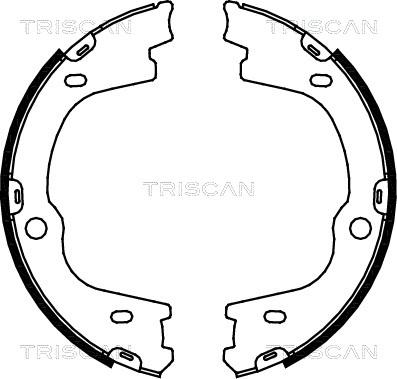 Triscan 8100 43026 - Комплект гальм, ручник, парковка avtolavka.club