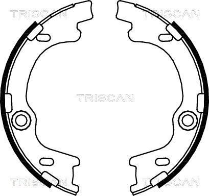 Triscan 8100 43021 - Комплект гальм, барабанний механізм avtolavka.club