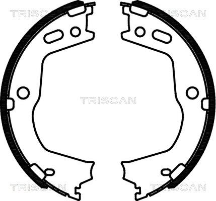 Triscan 8100 43028 - Комплект гальм, ручник, парковка avtolavka.club