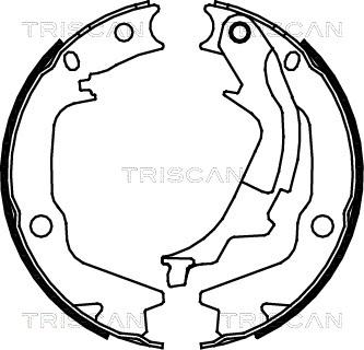 Triscan 8100 43022 - Комплект гальм, барабанний механізм avtolavka.club
