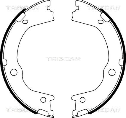 Triscan 8100 43027 - Комплект гальм, барабанний механізм avtolavka.club