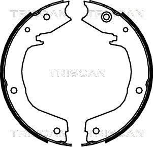 Triscan 8100 42019 - Комплект гальм, ручник, парковка avtolavka.club