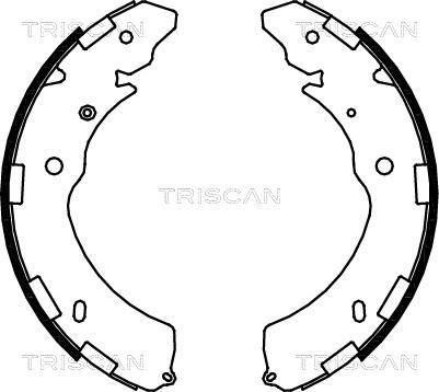 Triscan 8100 42021 - Комплект гальм, барабанний механізм avtolavka.club