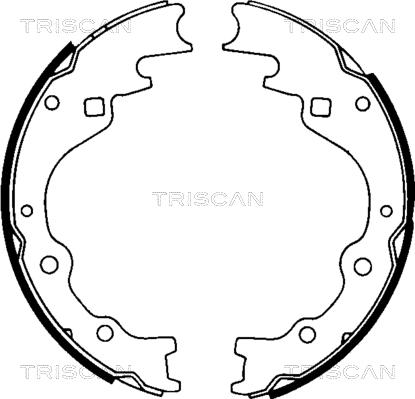 Triscan 8100 50461 - Комплект гальм, барабанний механізм avtolavka.club