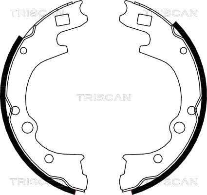 Triscan 8100 50604 - Комплект гальм, барабанний механізм avtolavka.club