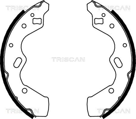 Triscan 8100 50615 - Комплект гальм, барабанний механізм avtolavka.club