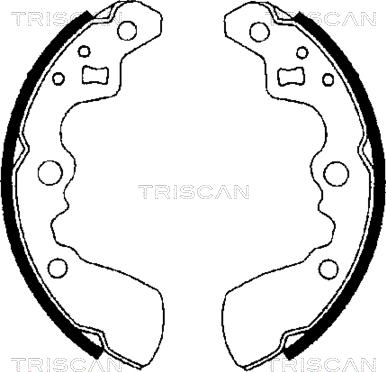 Triscan 8100 69550 - Комплект гальм, барабанний механізм avtolavka.club