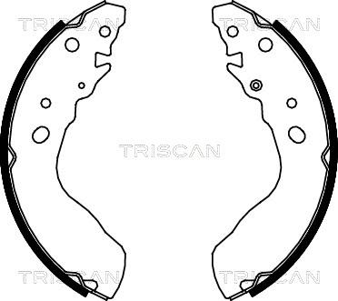 Triscan 8100 69584 - Комплект гальм, барабанний механізм avtolavka.club