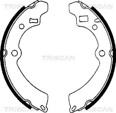 Triscan 8100 69521 - Комплект гальм, барабанний механізм avtolavka.club