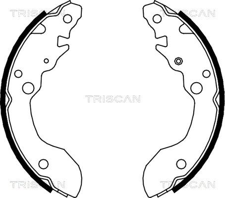 Triscan 8100 69007 - Комплект гальм, барабанний механізм avtolavka.club