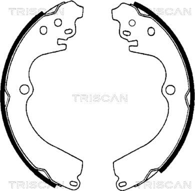 Triscan 8100 68551 - Комплект гальм, барабанний механізм avtolavka.club