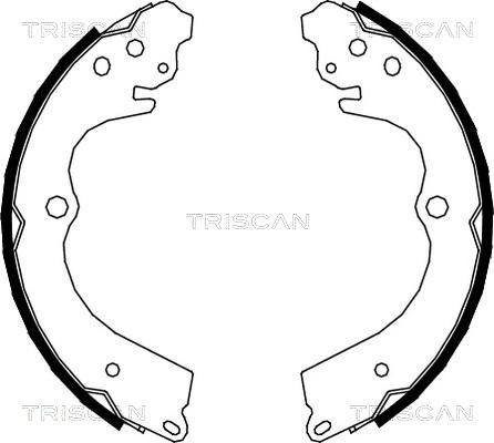 Triscan 8100 68005 - Комплект гальм, ручник, парковка avtolavka.club