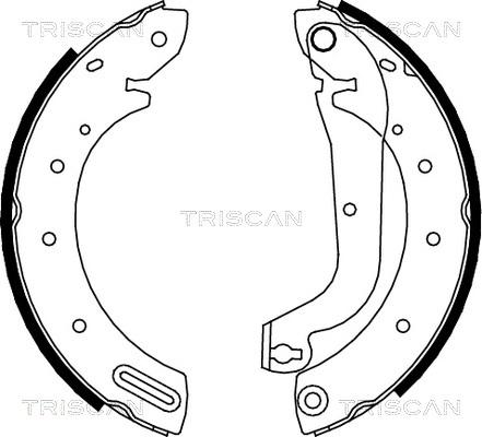 Triscan 8100 14596 - Комплект гальм, барабанний механізм avtolavka.club