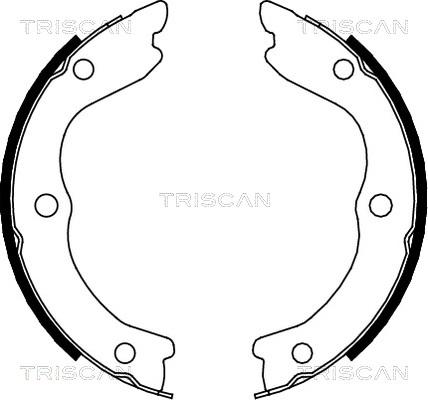 Triscan 8100 14006 - Комплект гальм, ручник, парковка avtolavka.club