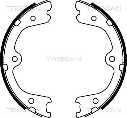 Triscan 8100 14008 - Комплект гальм, ручник, парковка avtolavka.club