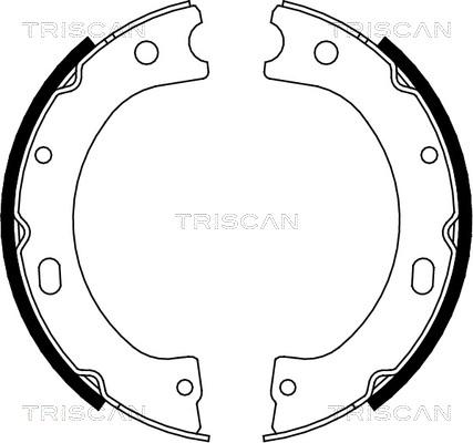 Triscan 8100 14011 - Комплект гальм, барабанний механізм avtolavka.club
