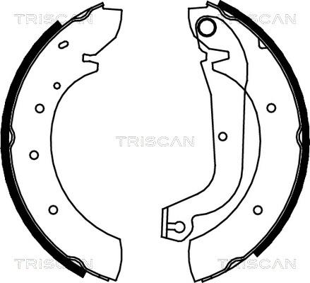 Triscan 8100 15480 - Комплект гальм, барабанний механізм avtolavka.club