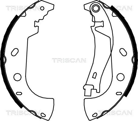 Triscan 8100 15626 - Комплект гальм, барабанний механізм avtolavka.club