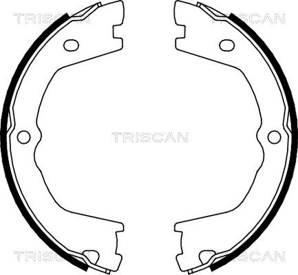 Triscan 8100 15019 - Комплект гальм, ручник, парковка avtolavka.club