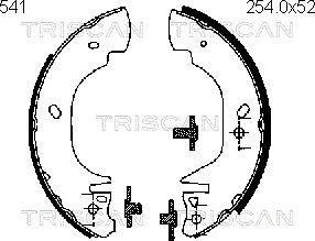 Triscan 8100 16541 - Комплект гальм, барабанний механізм avtolavka.club