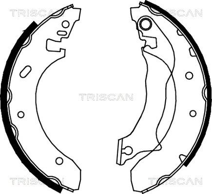 Triscan 8100 16559 - Комплект гальм, барабанний механізм avtolavka.club