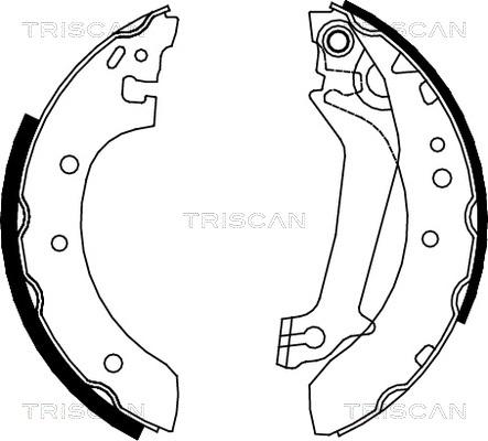 Triscan 8100 16587 - Комплект гальм, барабанний механізм avtolavka.club