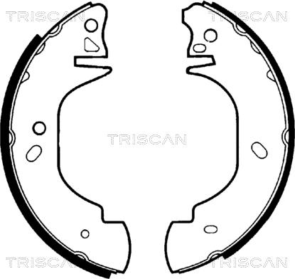 Triscan 8100 16570 - Комплект гальм, барабанний механізм avtolavka.club