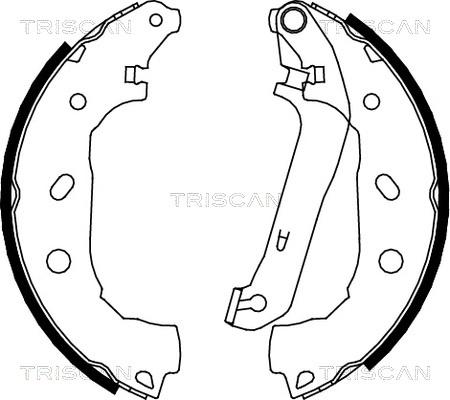 Triscan 8100 16009 - Комплект гальм, барабанний механізм avtolavka.club
