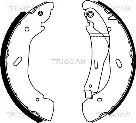 Triscan 8100 16005 - Комплект гальм, барабанний механізм avtolavka.club