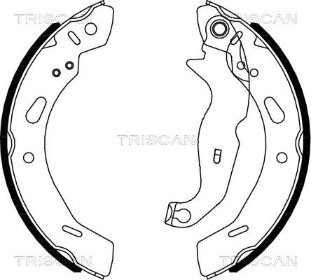 Triscan 8100 16013 - Комплект гальм, барабанний механізм avtolavka.club