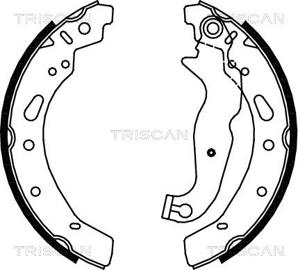 Triscan 8100 16012 - Комплект гальм, барабанний механізм avtolavka.club