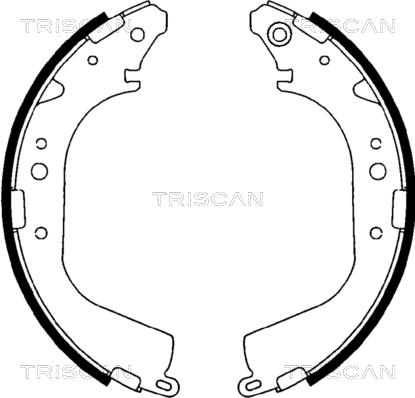 Triscan 8100 10425 - Комплект гальм, барабанний механізм avtolavka.club