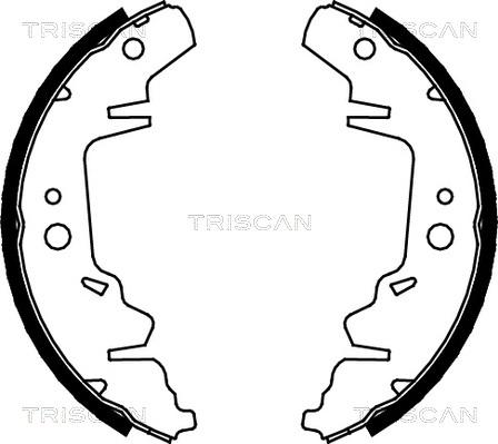 Triscan 8100 10593 - Комплект гальм, барабанний механізм avtolavka.club