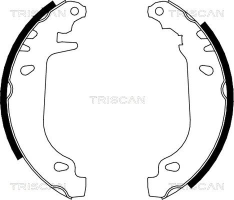 Triscan 8100 10545 - Комплект гальм, барабанний механізм avtolavka.club