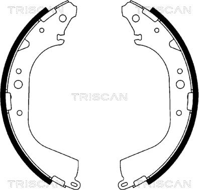 Triscan 8100 10519 - Комплект гальм, барабанний механізм avtolavka.club