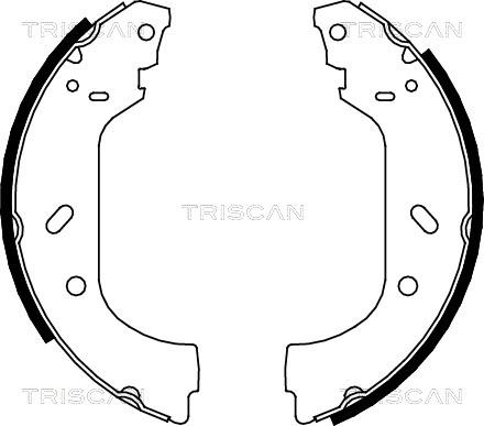 Triscan 8100 10588 - Комплект гальм, барабанний механізм avtolavka.club