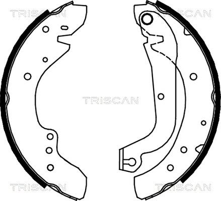 Triscan 8100 10577 - Комплект гальм, барабанний механізм avtolavka.club