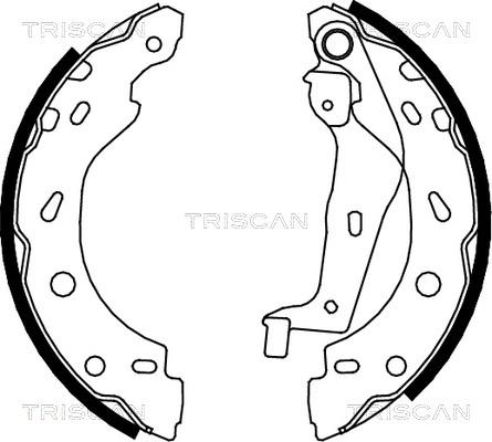 Triscan 8100 10005 - Комплект гальм, барабанний механізм avtolavka.club