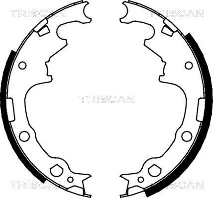 Triscan 8100 10001 - Комплект гальм, барабанний механізм avtolavka.club