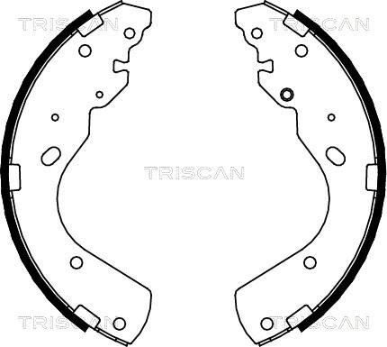 Triscan 8100 10017 - Комплект гальм, барабанний механізм avtolavka.club
