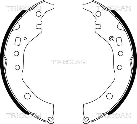 Triscan 8100 10039 - Комплект гальм, барабанний механізм avtolavka.club