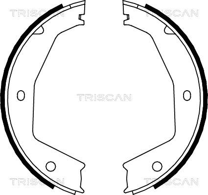 Triscan 8100 10034 - Комплект гальм, ручник, парковка avtolavka.club