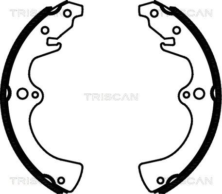 Triscan 8100 10036 - Комплект гальм, барабанний механізм avtolavka.club