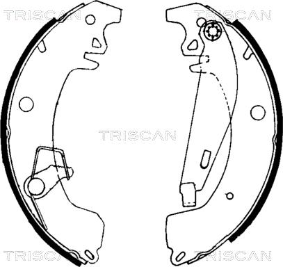 Triscan 8100 10031 - Комплект гальм, барабанний механізм avtolavka.club