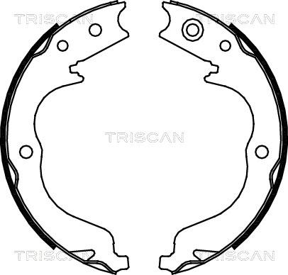 Triscan 8100 10029 - Комплект гальм, барабанний механізм avtolavka.club